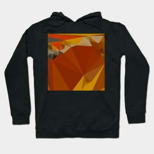 Paprika Orange Red Abstract Low Polygon Background Hoodie